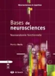 Bases de neurosciences vignette